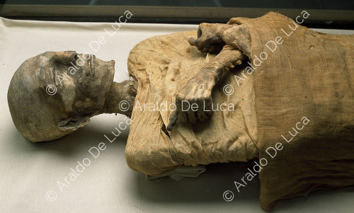 Mummie reali. Merenptah