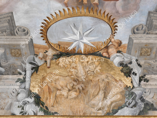 Star heraldry Altieri in a golden crown above medallion with Romulus and Remus suckled by the wolf and the Tiber - The Apotheosis of Romulus, detail
