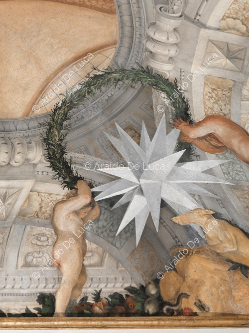 Stella araldica Altieri entro una corona vegetale sostenuta da putti - L'Apoteosi di Romolo, particolare