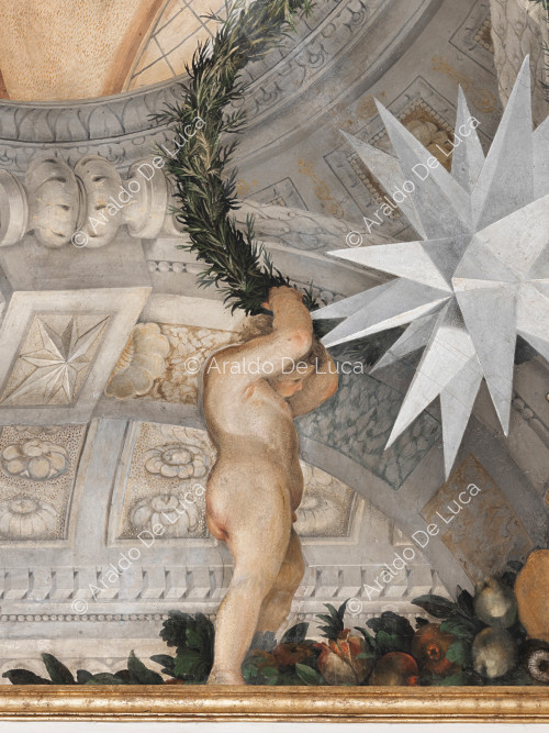 Cherub sustaining the plant crown with the heraldic star Altieri - The Apotheosis of Romulus, detail