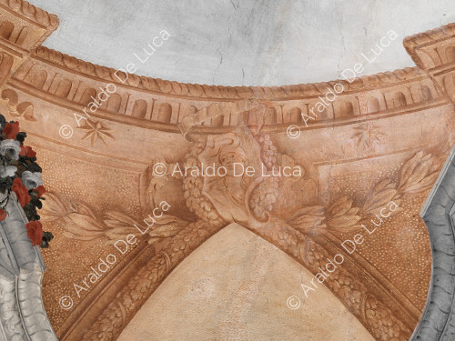 Détail du cadre architectural et décoratif - L'Apothéose de Romulus, partculier