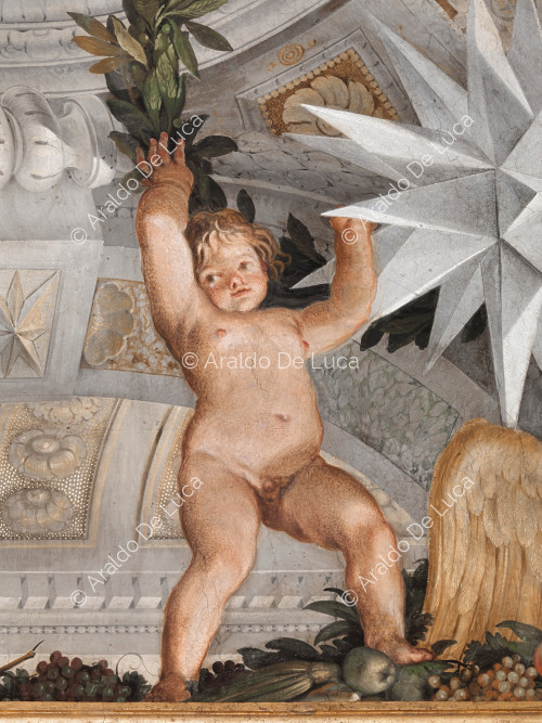 Kind dass pflanze krone mit den heraldischen stern Altieri - Die Apotheose von Romulus, besonder