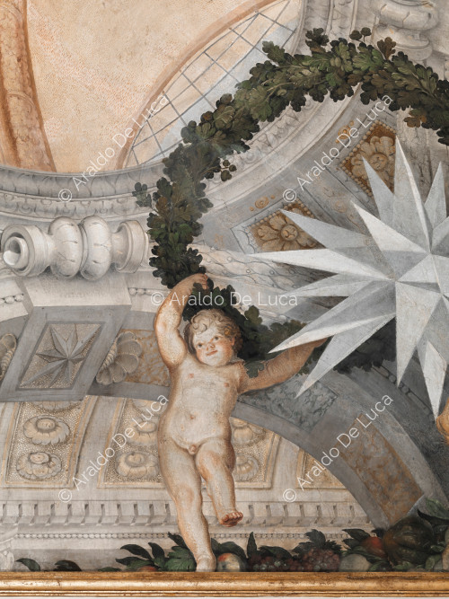 Cherub sustaining the plant crown with the heraldic star Altieri - The Apotheosis of Romulus, detail