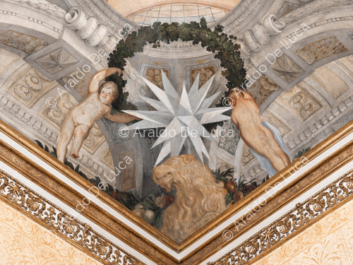 Étoiles héraldique Altieri dans une couronne végétale soutenue par angelots et lion - L'Apothéose de Romulus, partculier