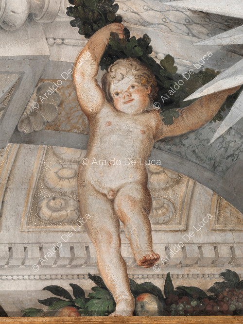 Putto sustaining the plant crown with the heraldic star Altieri - The Apotheosis of Romulus, detail
