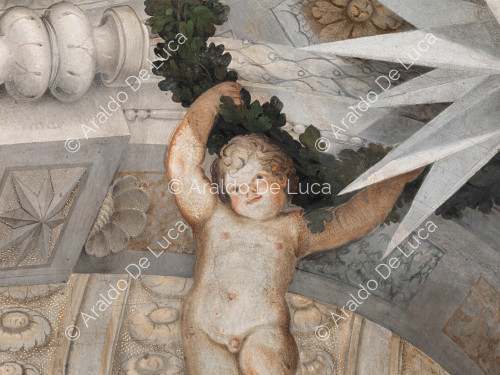 Putto sustaining the plant crown with the heraldic star Altieri - The Apotheosis of Romulus, detail