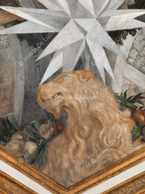 Étoiles héraldique Altieri et lion - L'Apothéose de Romulus, partculier