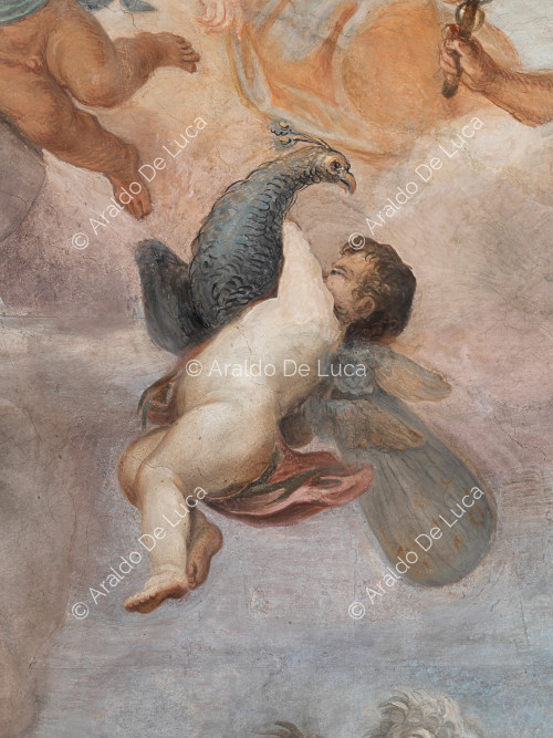 Angelot avec paon - L'Apothéose de Romulus, partculier