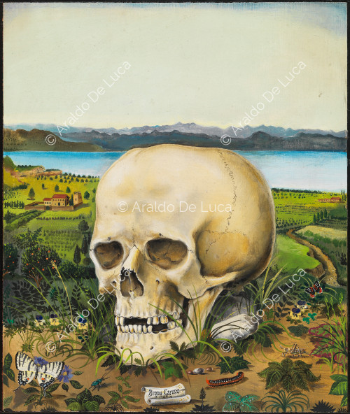 Skull of Antonello