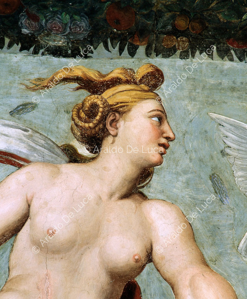 Loggia of Psyche. Lunette with Venus on a chariot. Detail