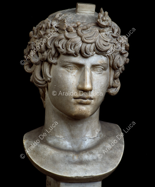 Portrait bust of Antinous