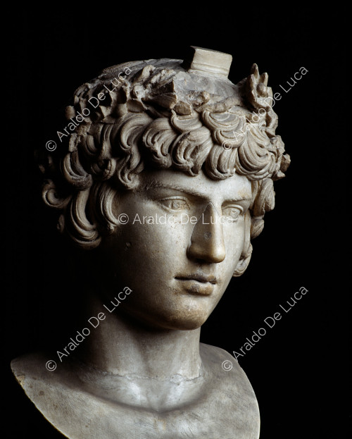 Retrato busto de Antinoo