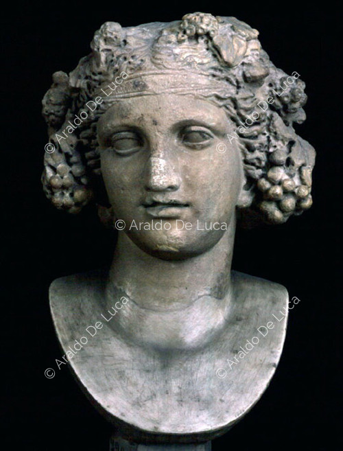 Busto ritratto di Dioniso
