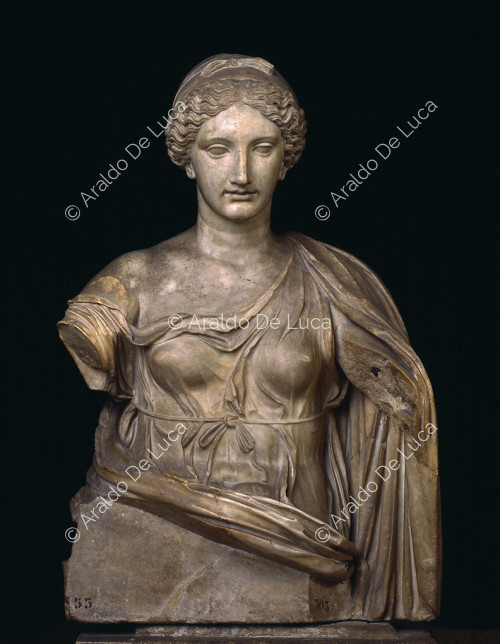 Bust of Venus