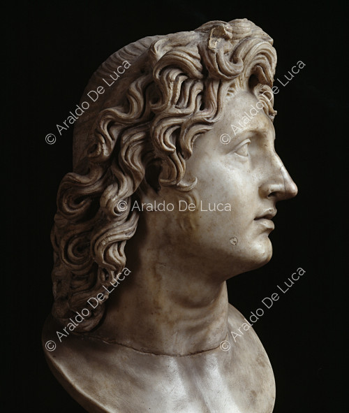 Portrait en buste d'Alexandre le Grand