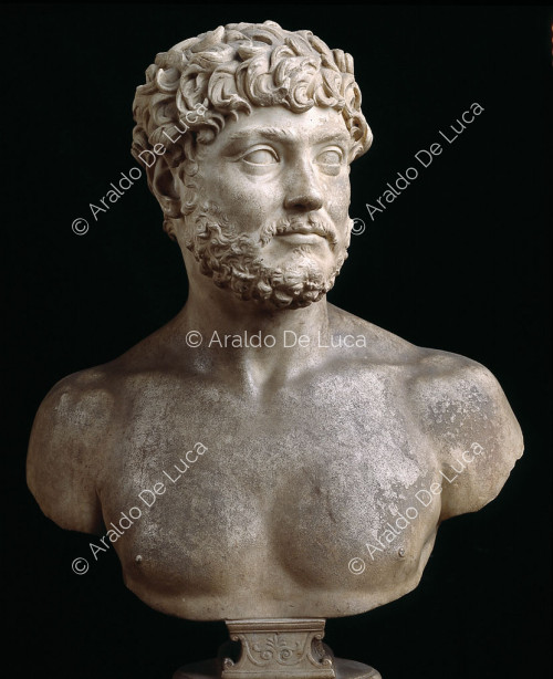 Male bust
