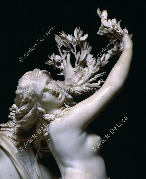 Apollo and Daphne. Detail of Daphne
