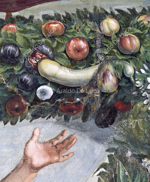 Festons aus Früchten und Blumen, Detail ' Loggia der Psyche '