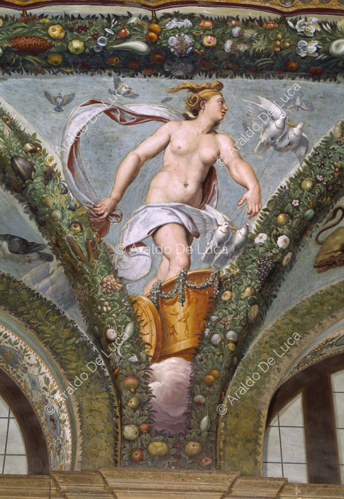 ' Venus on a chariot pulled by doves ' Lunetta. Loggia of Psyche.