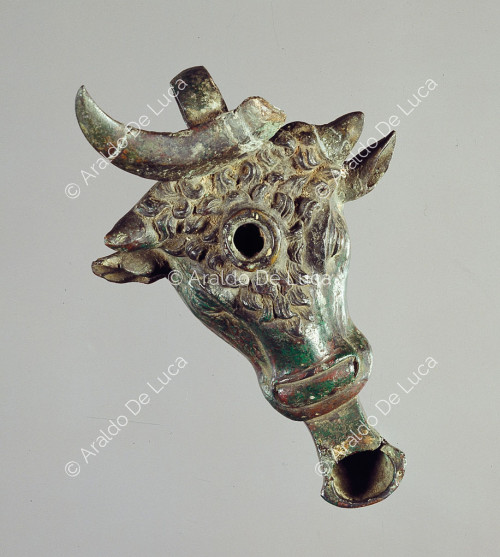 Bull's head lamp