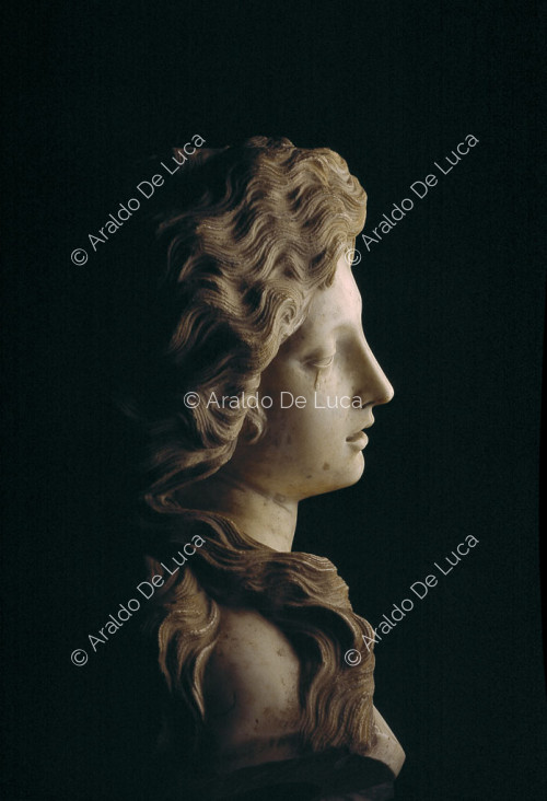 Bust of Lucretia