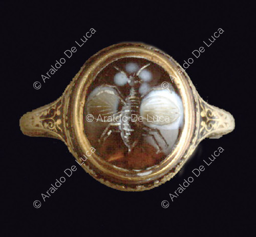 Ring with carved fly