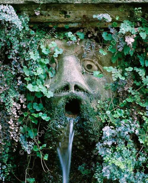 Springbrunnen. Detail mit Maske