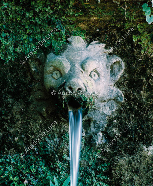 Fountain. Detail with mask