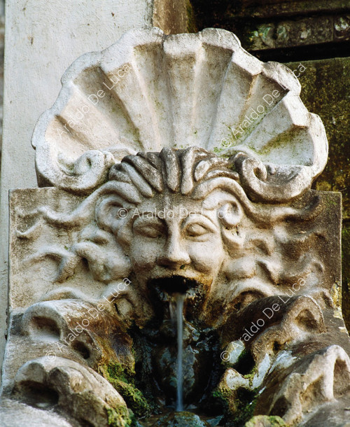 Mascherone di fontana