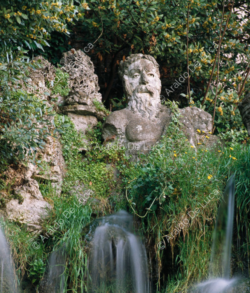 Fontana di Tivoli o 
