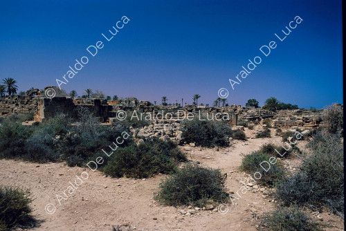 Panorama de las ruinas