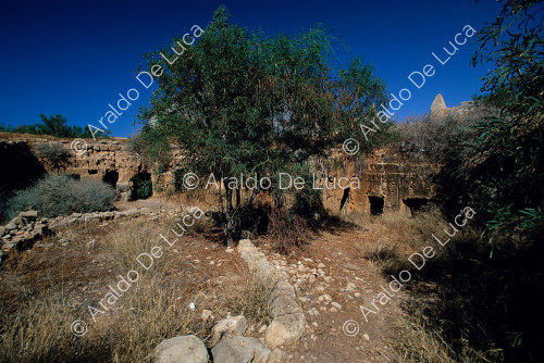 Necrópolis greco romana