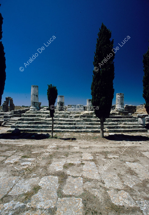 Temple de Zeus
