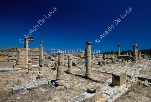 Temple of Apollo Archegeta