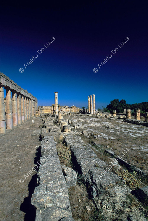 Porticus Caesarum Basilika