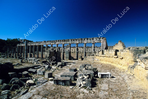 Porticus Caesarum Basilica