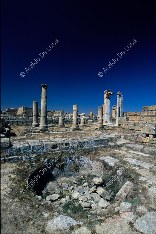 Tempio di Apollo Archegeta