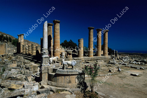 Exedra of Apollo Carnaeus