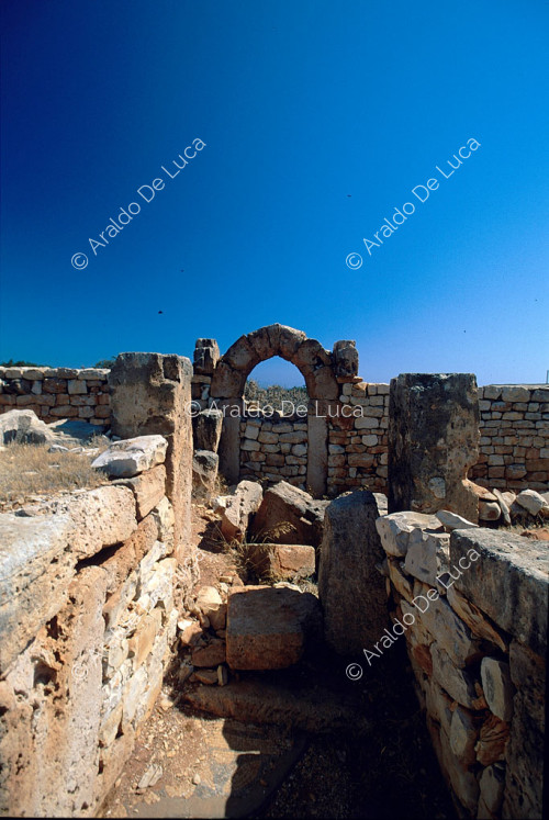 Basilica Bizantina