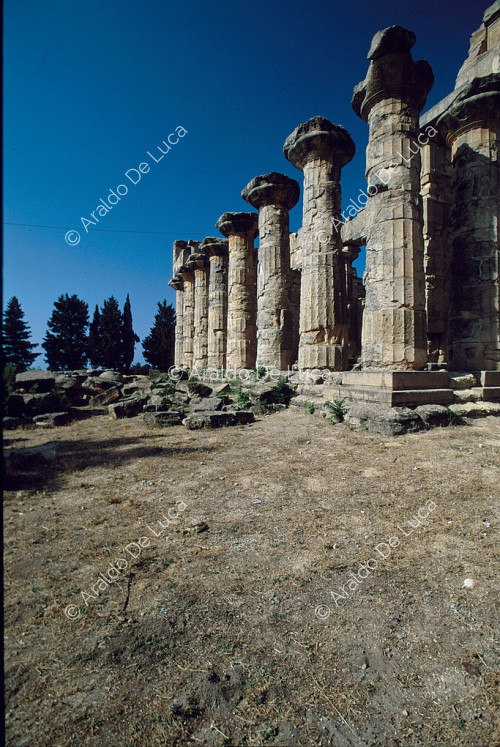 Tempio di Zeus