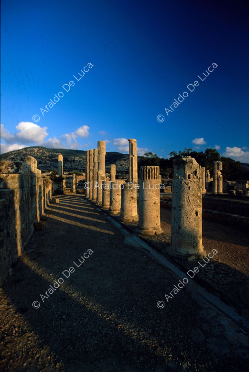 Palacio de las columnas