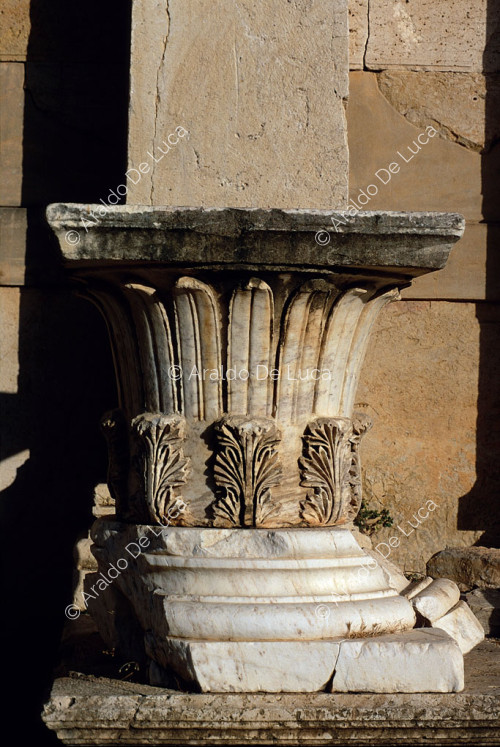 Capital with acanthus leaves