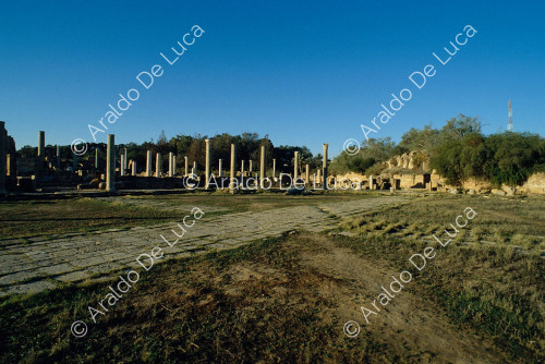 Portique à colonnes corinthiennes