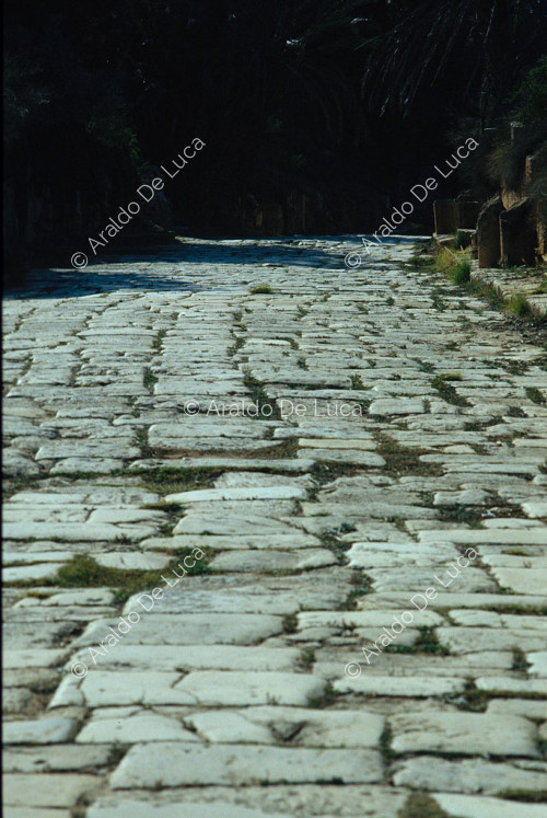 Leptis Magna, terme