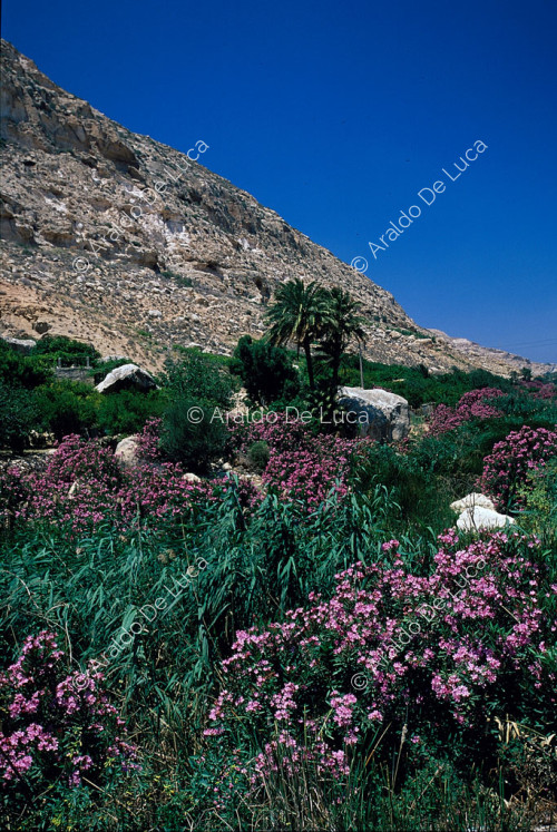Wadi Derna