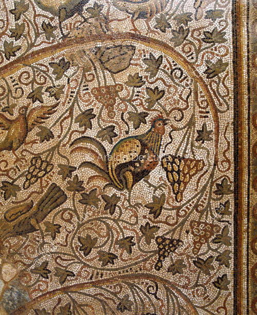 Basilica de Justiniano, detalle de mosaico