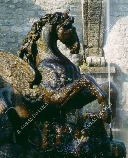 Fontaine Pegasus