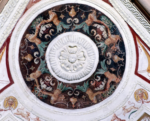 Sails with grotesques. Detail of roundel with rosette