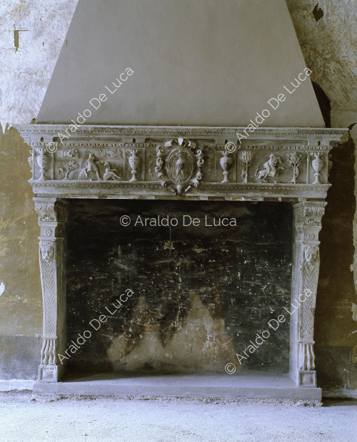Fireplace with coat of arms