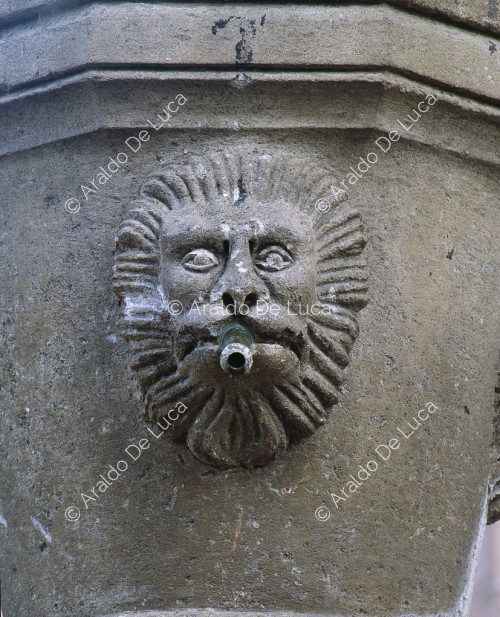 Water outlet in the shape of a lion's head